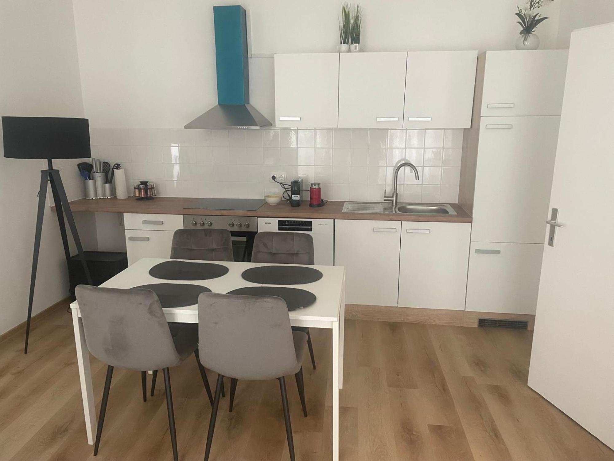 Apartment Geibel T5 - 60M2 - Hundefreundlich Vienne Extérieur photo